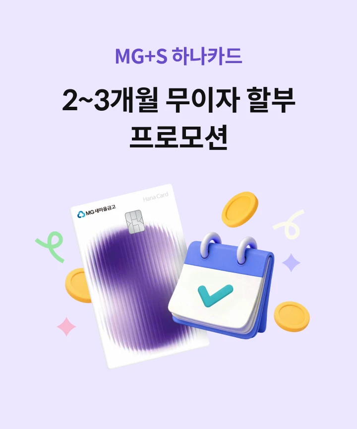 MG+S �ϳ�ī�� 2~3���� �������Һ� ���θ��