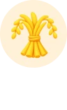 ���� �� 300 �̻�