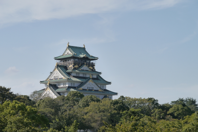 ����ī/���� ����