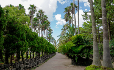 �Ѹ�����