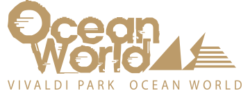 ���ǿ��� logo