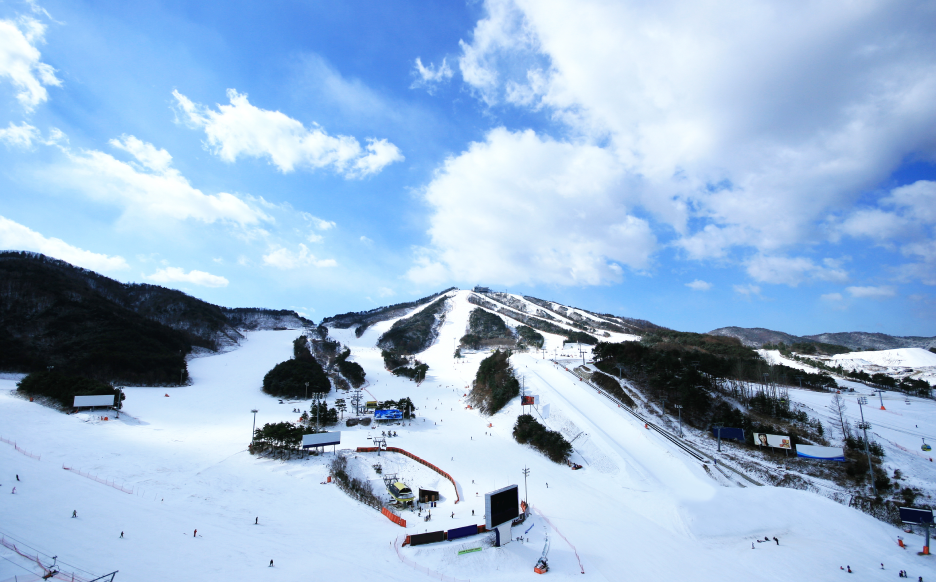 ����������ũ �ܿ�����