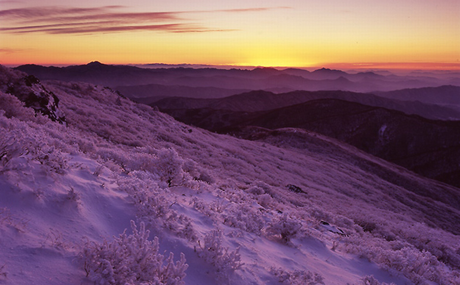 ���� ������ ����Ʈ ����