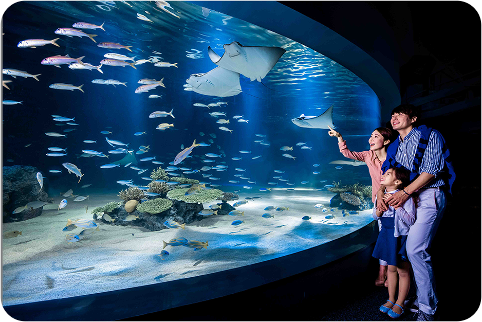 ������ ��������� ���� ��ſ��ϴ� ���� ���