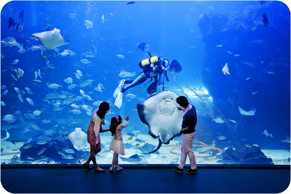 ������ �� ����ο� ��� �������� ���������� ���� �����ϰ� �ְ�, �̸� ���� ������ ��ſ��ϴ� ���