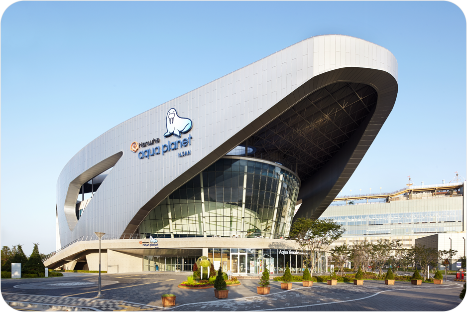 �ϻ�����Ƹ��� �ܰ� ���