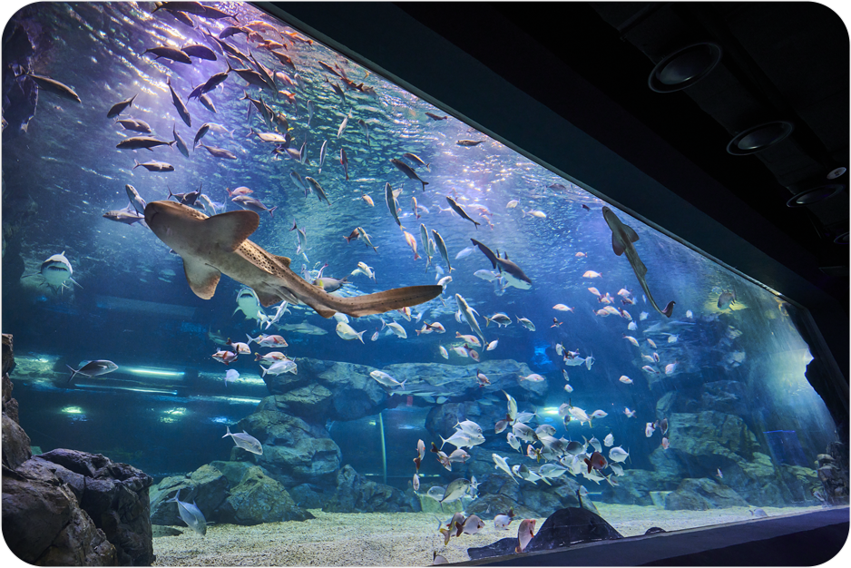 ������ �� ���� ���� ��������� �ѵ� ��췯�� ���ġ�� ���