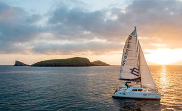 ���� ���͵���Ʈ