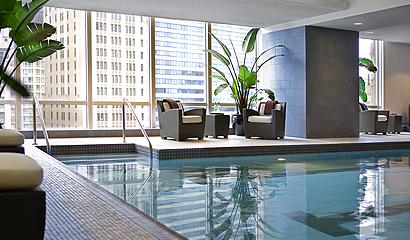 �̱� ��ī�� �̹���