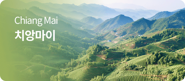 chiang mai ġ�Ӹ���