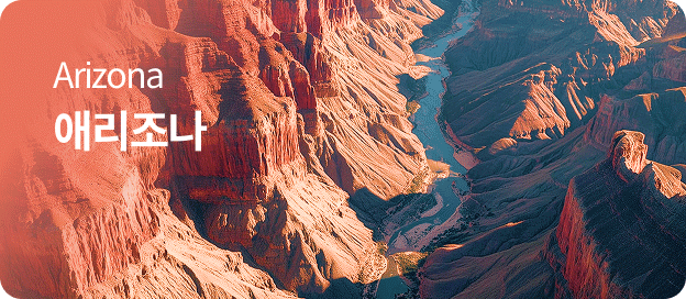 arizona �ָ�����
